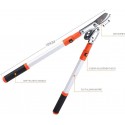 Zcx SK5 Steel Telescopic Vigorously Cut Thick Branches and High Branches Shears Green Gardening Garden Tools (Color : Telescopic Shear)