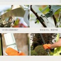 Zcx Gardening Luxury Professional Telescopic High Branch Shears High Altitude Saw Branches Scissors Landscaping Tools (Color : Picture Color)