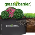 Grass Barrier - Landscape Edging - 10